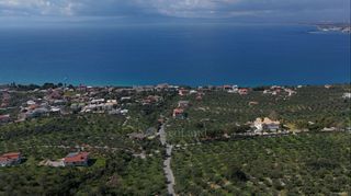 Αγροτεμάχια 2.115 τ.μ. για πώληση, Μεσσηνία, Καλαμάτα-thumb-19