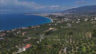 Αγροτεμάχια 2.115 τ.μ. για πώληση, Μεσσηνία, Καλαμάτα-thumb-5