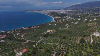 Αγροτεμάχια 2.115 τ.μ. για πώληση, Μεσσηνία, Καλαμάτα-thumb-21