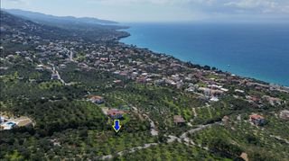 Αγροτεμάχια 2.115 τ.μ. για πώληση