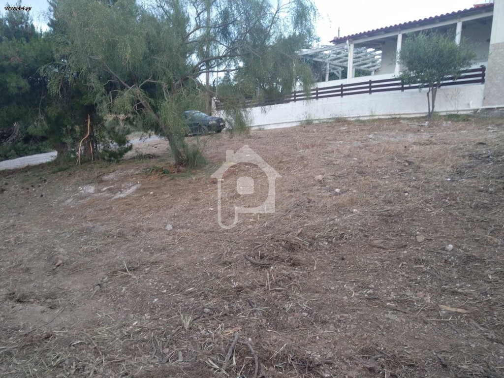 Αγροτεμάχια 415 τ.μ. προς πώληση, Νησιά Αργοσαρωνικού, Αίγινα