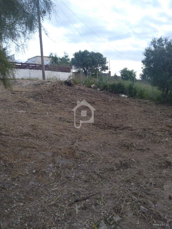Αγροτεμάχια 415 τ.μ. προς πώληση, Νησιά Αργοσαρωνικού, Αίγινα