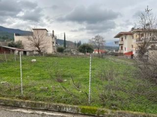 Οικόπεδο 436 τ.μ. για πώληση, Φθιώτιδας, Σπερχειάδα-thumb-5