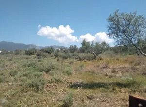 Οικόπεδο 9.000 τ.μ. για πώληση, Μεσσηνία, Καλαμάτα-thumb-2