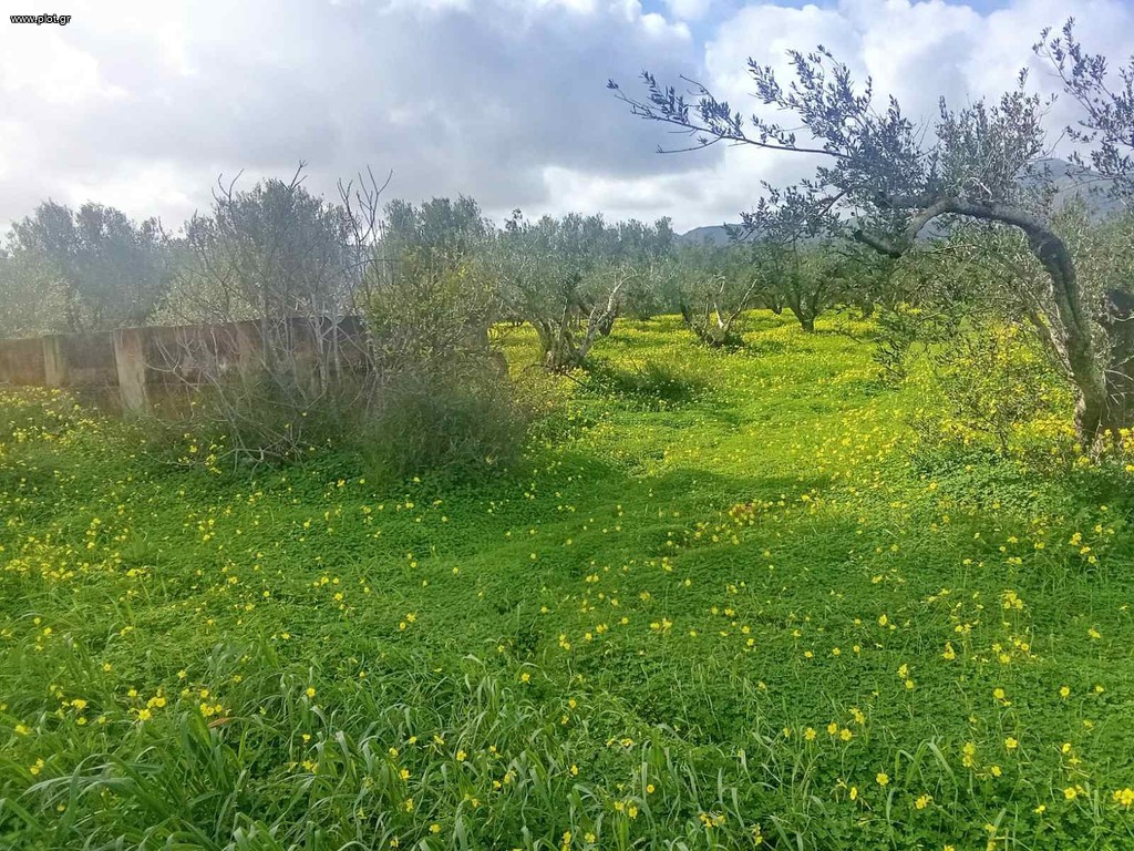 Οικόπεδο 2.697 τ.μ. πρός πώληση, Ν. Ηρακλείου, Γορτύνα