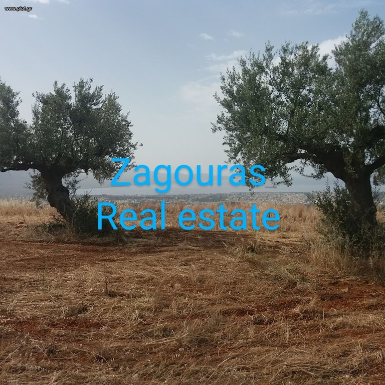 Οικόπεδο 7.500 τ.μ. πρός πώληση, Μεσσηνία, Καλαμάτα