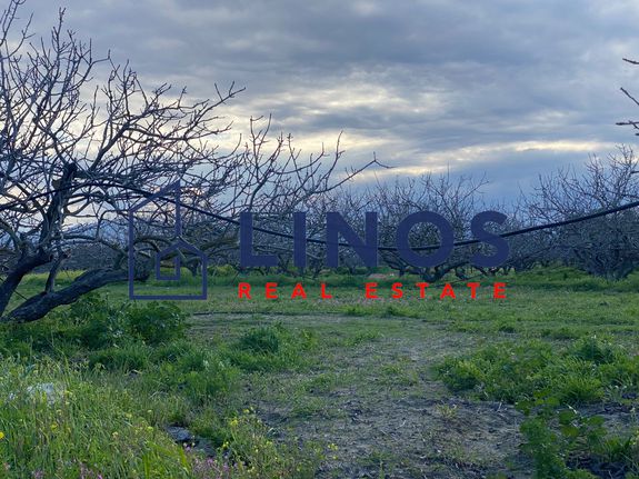 Land plot 4.793 sqm for sale, Argosaronikos Islands, Aegina