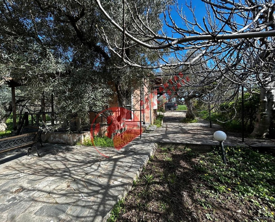 Μονοκατοικία 1.800 τ.μ. πρός πώληση, Εβρος, Αλεξανδρούπολη