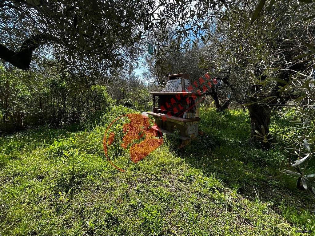 Μονοκατοικία 1.800 τ.μ. πρός πώληση, Εβρος, Αλεξανδρούπολη