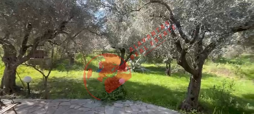 Μονοκατοικία 1.800 τ.μ. πρός πώληση, Εβρος, Αλεξανδρούπολη