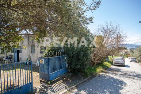 Μονοκατοικία 274 τ.μ. προς πώληση