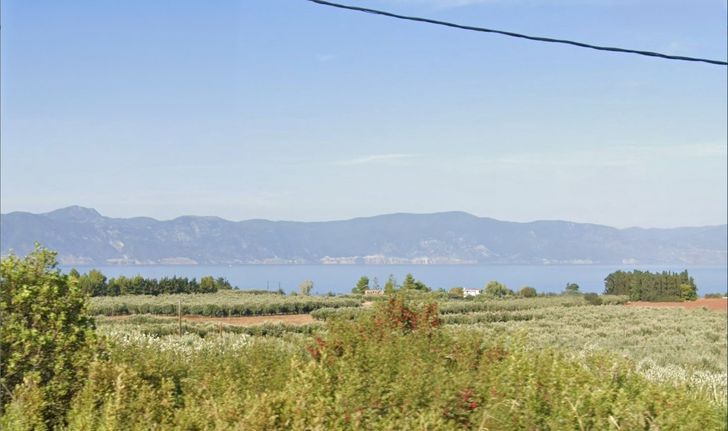 Οικόπεδο 5.000 τ.μ. για πώληση, Φθιώτιδας, Δαφνούσες