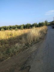 Οικόπεδο 5.000 τ.μ. για πώληση, Φθιώτιδας, Δαφνούσες-thumb-10