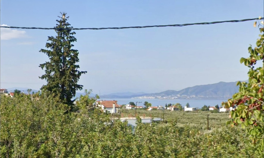 Οικόπεδο 5.000 τ.μ. πρός πώληση, Φθιώτιδας, Δαφνούσες