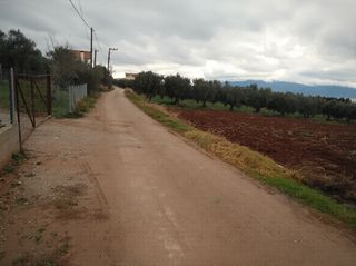 Οικόπεδο 5.000 τ.μ. για πώληση, Φθιώτιδας, Δαφνούσες-thumb-7
