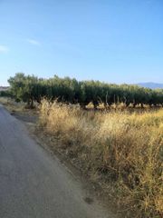 Οικόπεδο 5.000 τ.μ. για πώληση, Φθιώτιδας, Δαφνούσες-thumb-3