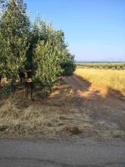 Οικόπεδο 5.000 τ.μ. για πώληση, Φθιώτιδας, Δαφνούσες-thumb-16