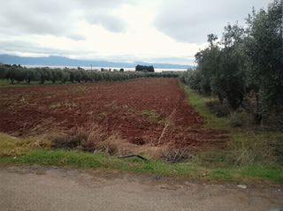 Οικόπεδο 5.000 τ.μ. για πώληση, Φθιώτιδας, Δαφνούσες-thumb-8