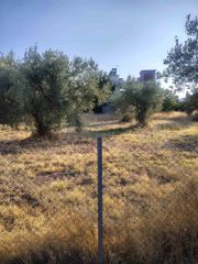 Οικόπεδο 600 τ.μ. για πώληση, Φθιώτιδας, Δαφνούσες-thumb-8