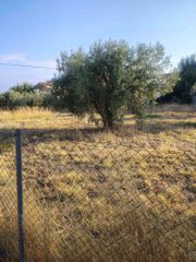 Οικόπεδο 600 τ.μ. για πώληση, Φθιώτιδας, Δαφνούσες-thumb-6