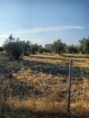 Οικόπεδο 600 τ.μ. για πώληση, Φθιώτιδας, Δαφνούσες-thumb-3