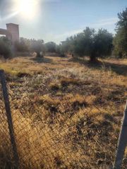 Οικόπεδο 600 τ.μ. για πώληση, Φθιώτιδας, Δαφνούσες-thumb-4