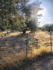 Οικόπεδο 600 τ.μ. για πώληση, Φθιώτιδας, Δαφνούσες-thumb-5