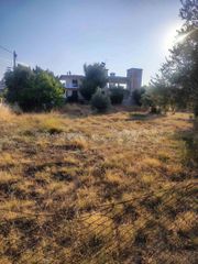 Οικόπεδο 600 τ.μ. για πώληση, Φθιώτιδας, Δαφνούσες-thumb-1