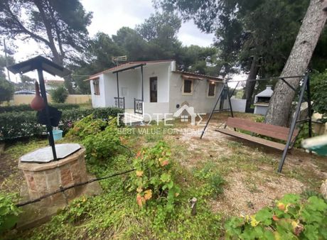 Μονοκατοικία 60τ.μ. για ενοικίαση-Αρτέμιδα (λούτσα) » Μεσοβάρδα