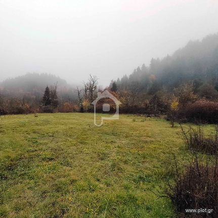 Land plot 1.800 sqm for sale, Evrytania, Karpenisi