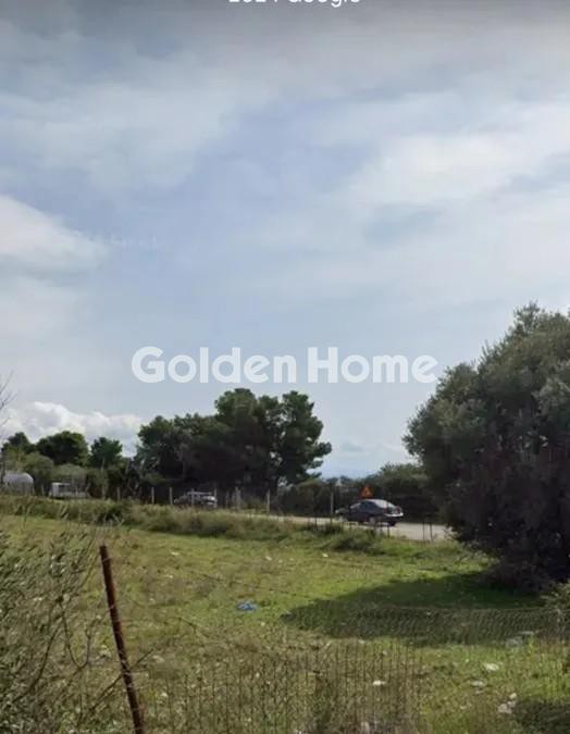 Αγροτεμάχια 74.577 τ.μ. προς πώληση, Μαλακώντα