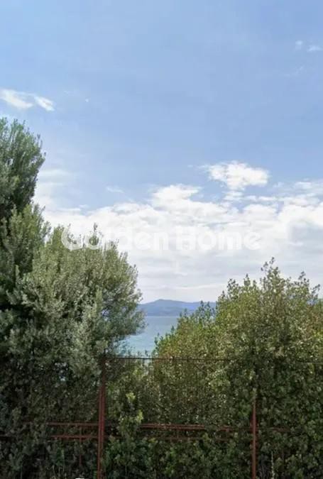 Αγροτεμάχια 74.577 τ.μ. προς πώληση, Μαλακώντα
