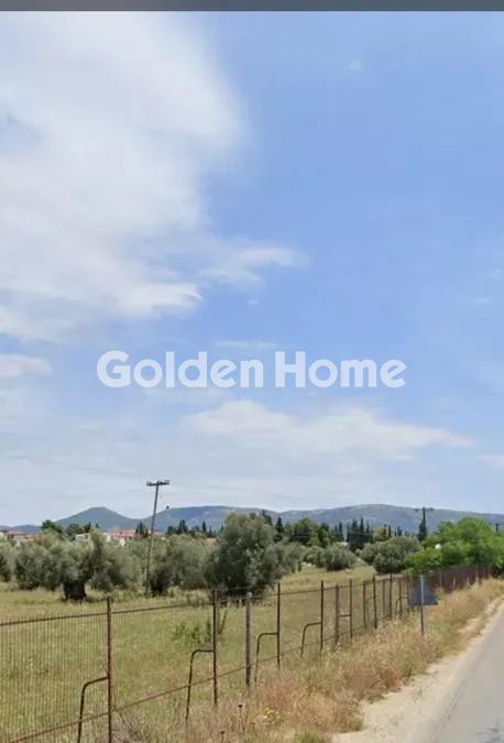 Αγροτεμάχια 74.577 τ.μ. προς πώληση, Μαλακώντα