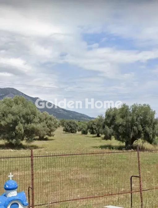 Αγροτεμάχια 74.577 τ.μ. προς πώληση, Μαλακώντα