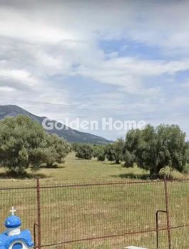 Αγροτεμάχια 74.577 τ.μ. προς πώληση