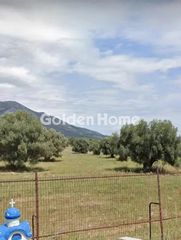 Αγροτεμάχια 74.577 τ.μ. για πώληση