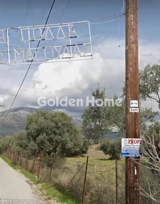 Αγροτεμάχια 74.577 τ.μ. προς πώληση, Μαλακώντα