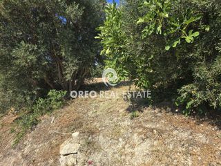 Αγροτεμάχια 1.028 τ.μ. για πώληση, Ν. Ρεθύμνου, Ρέθυμνο-thumb-1