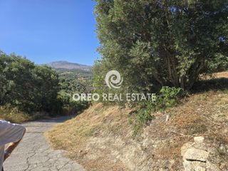 Αγροτεμάχια 1.028 τ.μ. για πώληση, Ν. Ρεθύμνου, Ρέθυμνο-thumb-2