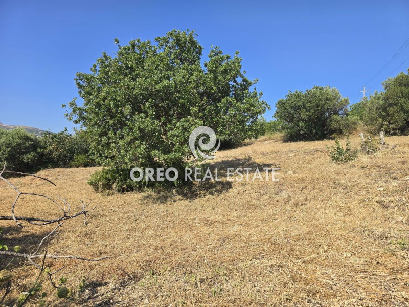 Αγροτεμάχια 1.028 τ.μ. για πώληση, Ν. Ρεθύμνου, Ρέθυμνο