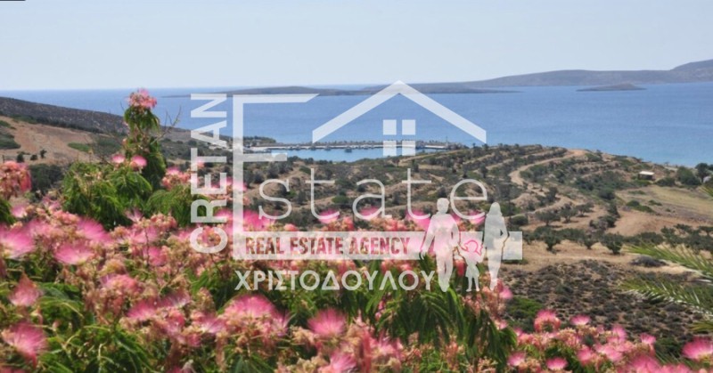 Οικόπεδο 683 τ.μ. προς πώληση, Σκοπή Σητείας