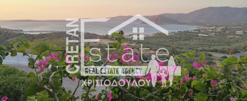 Οικόπεδο 643 τ.μ. προς πώληση, Αζοκέραμος