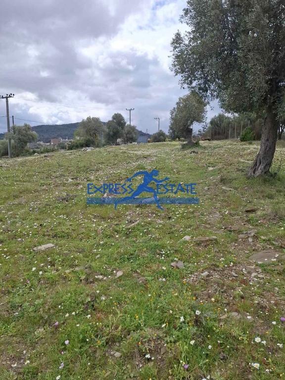 Αγροτεμάχια 2.700 τ.μ. πρός πώληση, Αθήνα - Ανατολικά Προάστια, Μαραθώνας