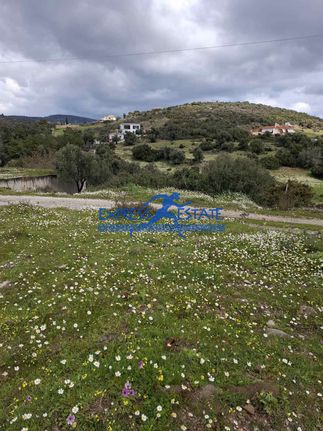 Αγροτεμάχια 2.700 τ.μ. για πώληση, Αθήνα - Ανατολικά Προάστια, Μαραθώνας
