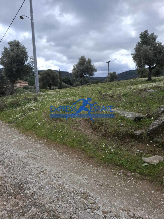 Αγροτεμάχια 2.700 τ.μ. πρός πώληση, Αθήνα - Ανατολικά Προάστια, Μαραθώνας