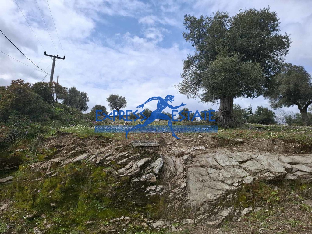 Αγροτεμάχια 2.700 τ.μ. πρός πώληση, Αθήνα - Ανατολικά Προάστια, Μαραθώνας