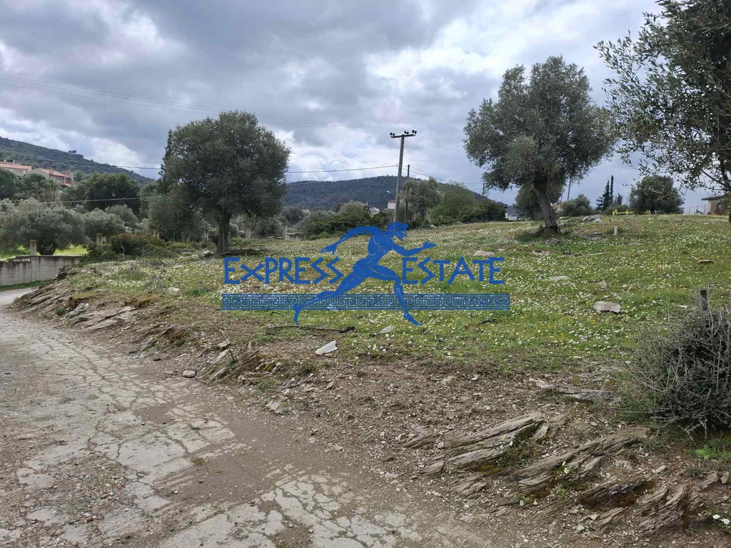 Αγροτεμάχια 2.700 τ.μ. πρός πώληση, Αθήνα - Ανατολικά Προάστια, Μαραθώνας