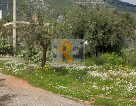 Οικόπεδο 209 τ.μ. για πώληση, Αθήνα - Ανατολικά Προάστια, Παιανία