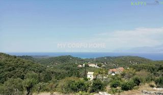 Αγροτεμάχια 6.436,45 τ.μ. για πώληση