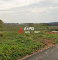 Οικόπεδο 4.600 τ.μ. για πώληση